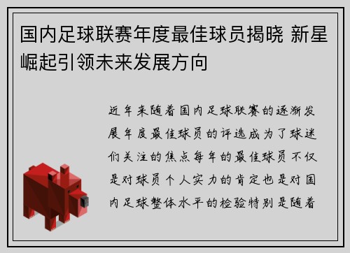 国内足球联赛年度最佳球员揭晓 新星崛起引领未来发展方向